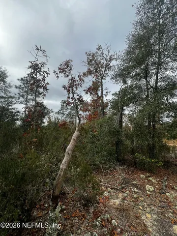 $11,900 | 307 Lemon Street, Interlachen, FL 32148