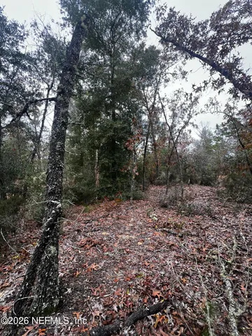 $11,900 | 307 Lemon Street, Interlachen, FL 32148