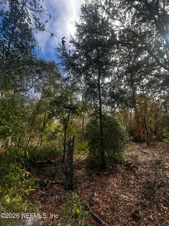 $11,900 | 307 Lemon Street, Interlachen, FL 32148