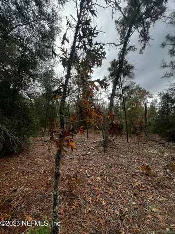 $11,900 | 307 Lemon Street, Interlachen, FL 32148