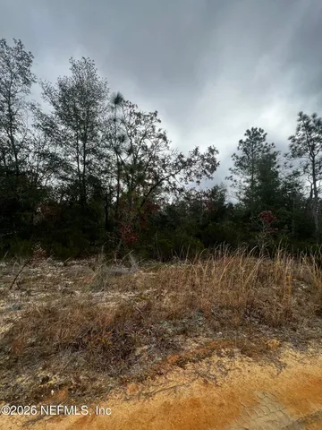 $11,900 | 307 Lemon Street, Interlachen, FL 32148