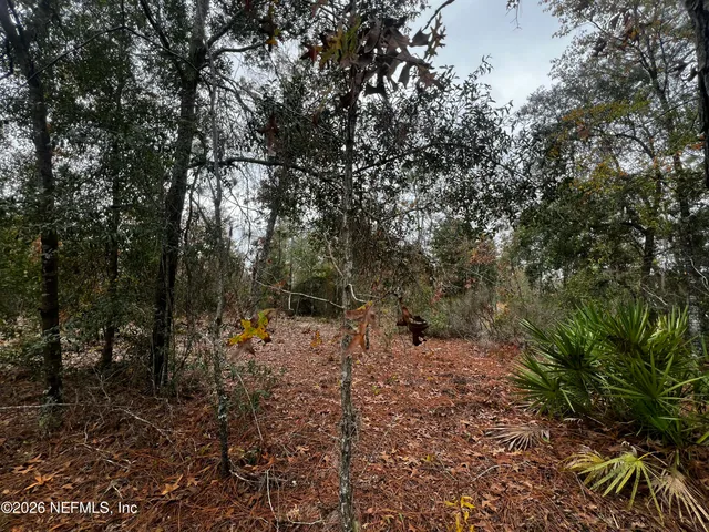 $11,900 | 307 Lemon Street, Interlachen, FL 32148