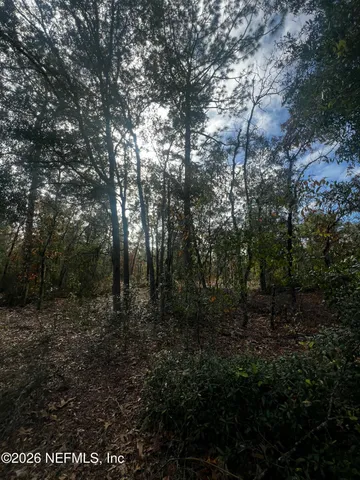 $11,900 | 307 Lemon Street, Interlachen, FL 32148