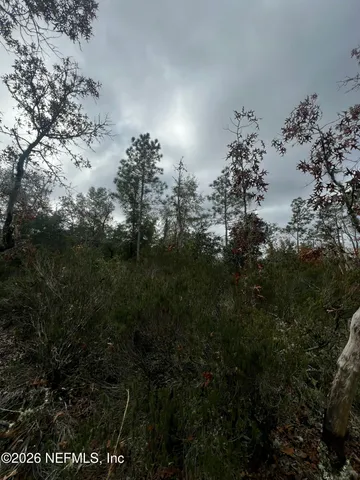 $11,900 | 307 Lemon Street, Interlachen, FL 32148