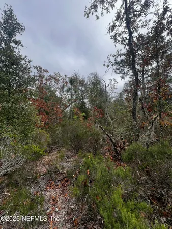 $11,900 | 307 Lemon Street, Interlachen, FL 32148