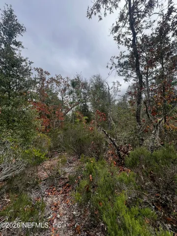 $11,900 | 307 Lemon Street, Interlachen, FL 32148