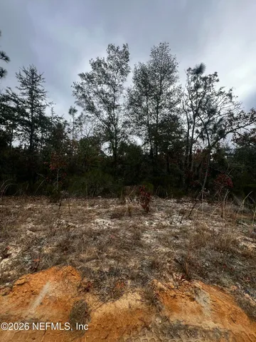 $11,900 | 307 Lemon Street, Interlachen, FL 32148