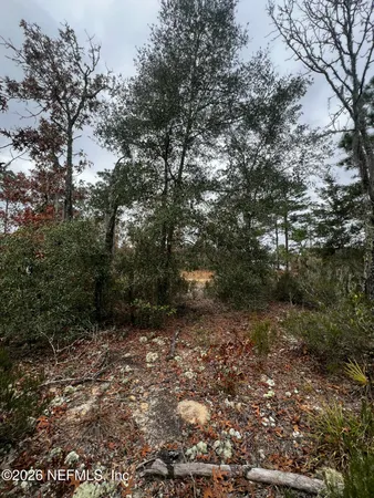 a big yard with lots of green space and fog