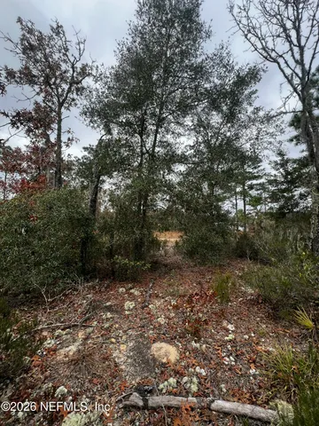 $11,900 | 307 Lemon Street, Interlachen, FL 32148