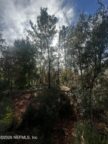 $11,900 | 307 Lemon Street, Interlachen, FL 32148