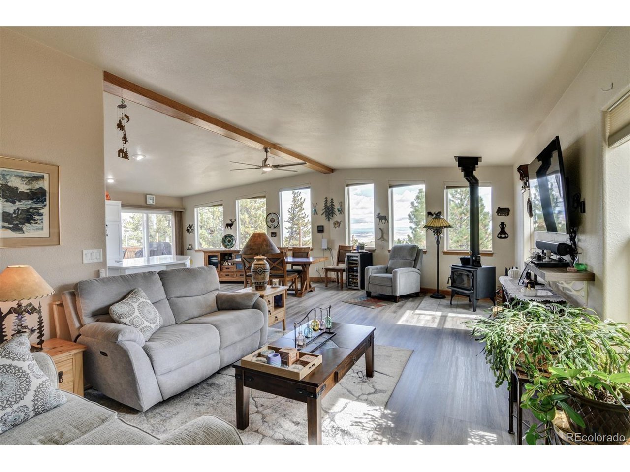 3480 Singletree Road Hartsel, CO 80449 - Photo 18 of 50 Living Room