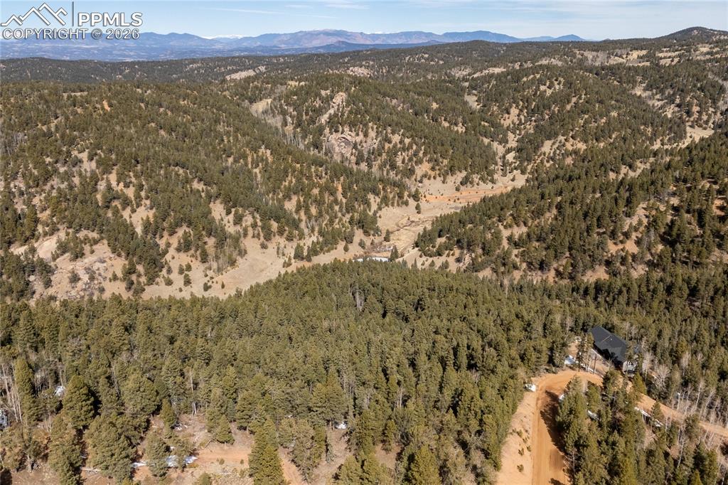81 Haven Road Divide, CO 80814 - Photo 14 of 24 Bird's eye view of a mountainous background and a forest