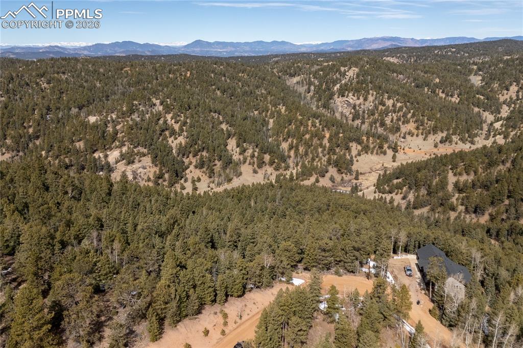81 Haven Road Divide, CO 80814 - Photo 17 of 24 Bird's eye view of a mountain backdrop and a forest