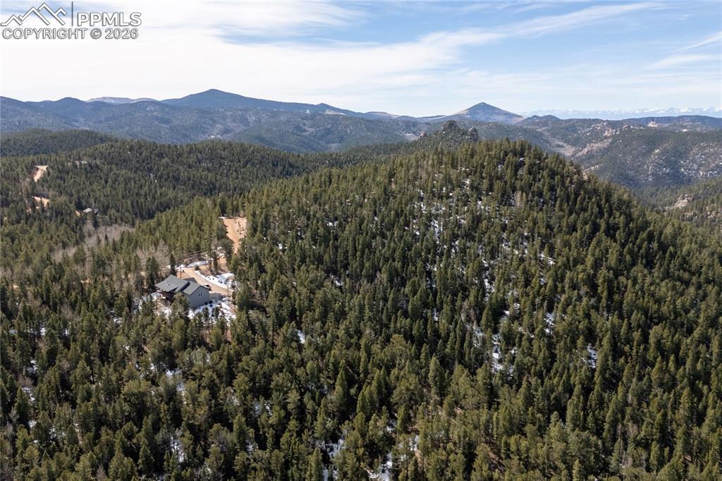 81 Haven Road Divide, CO 80814 - Photo 19 of 24 Bird's eye view of a forest and a mountainous background