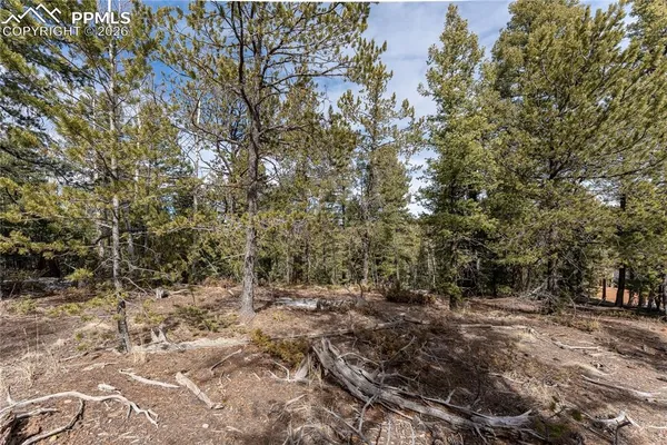 $99,900 | 81 Haven Road, Divide, CO 80814