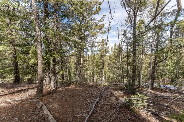 $99,900 | 81 Haven Road, Divide, CO 80814