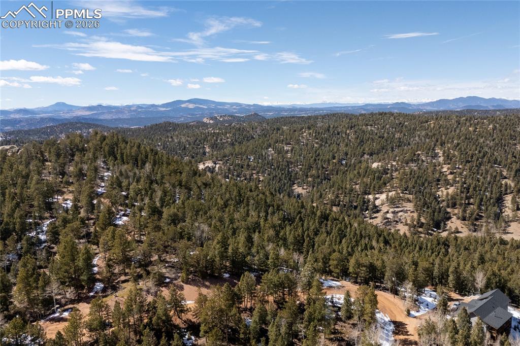 81 Haven Road Divide, CO 80814 - Photo 5 of 24