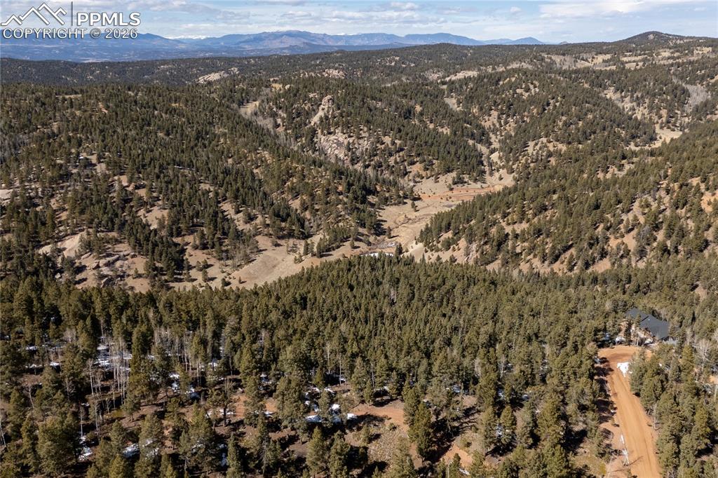 81 Haven Road Divide, CO 80814 - Photo 7 of 24