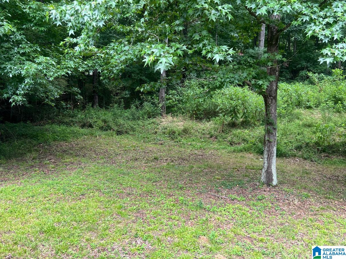 110 Walkers Gap Road Springville, AL 35146 - Photo 14 of 15 Gallery Image 14