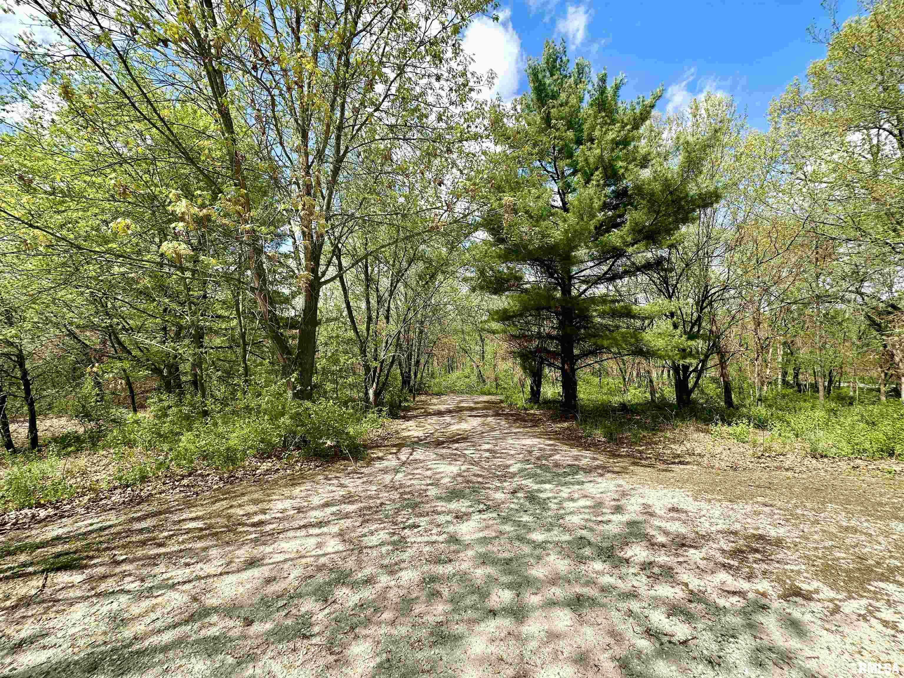 445 Hillview Road Winchester, IL 62694 - Photo 33 of 36