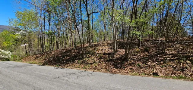 a view of a garden with a pathway