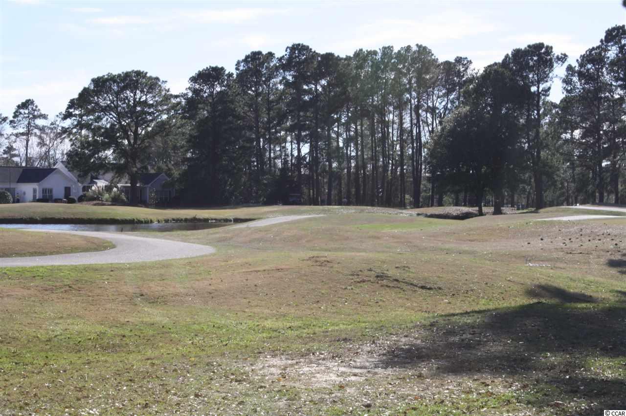 1469 Riceland Court Murrells Inlet, SC 29576 - Photo 28 of 36 Gallery Image 28