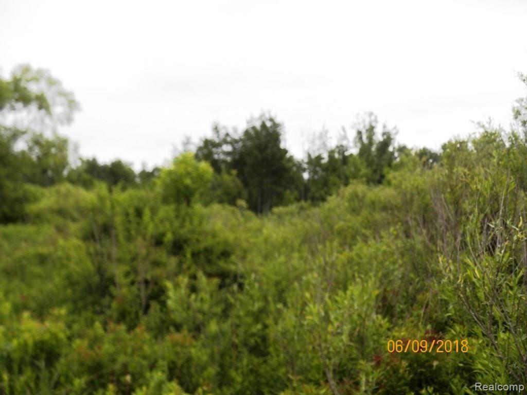 0 Banner Road Sandusky, MI 48471 - Photo 5 of 7