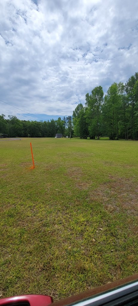 Tbd Winding Pond Road Manning, SC 29102 - Photo 4 of 14 Gallery Image 4