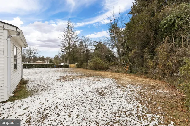 a view of dirt yard with a large tree