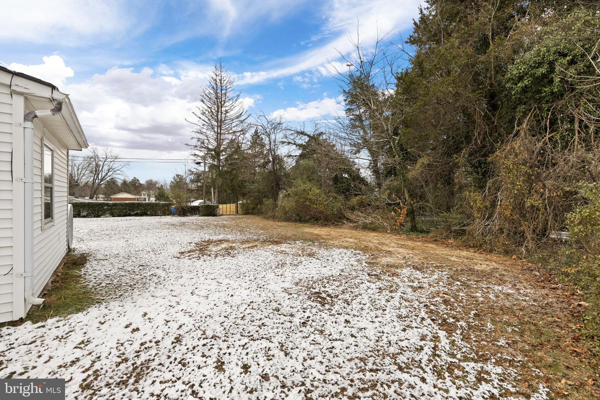 11604 Maple Tree Court Orange, VA 22960 - Photo 31 of 39 a view of dirt yard with a large tree