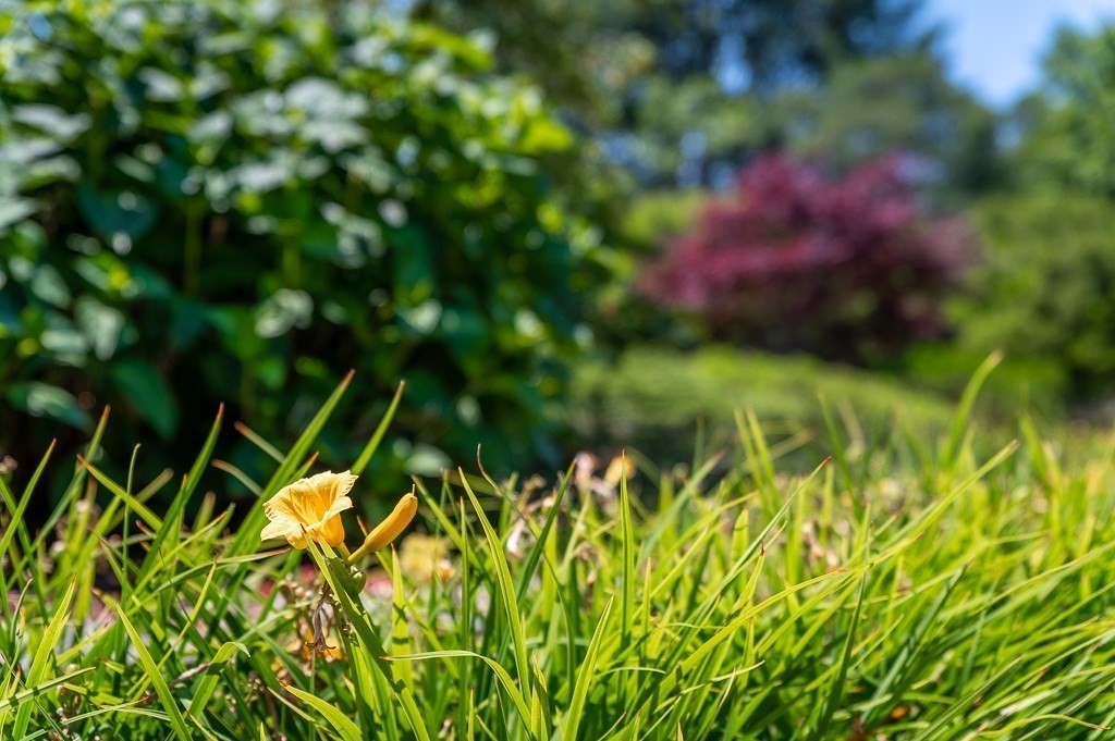 20 Links Road Gloucester, MA 01930 - Photo 38 of 42