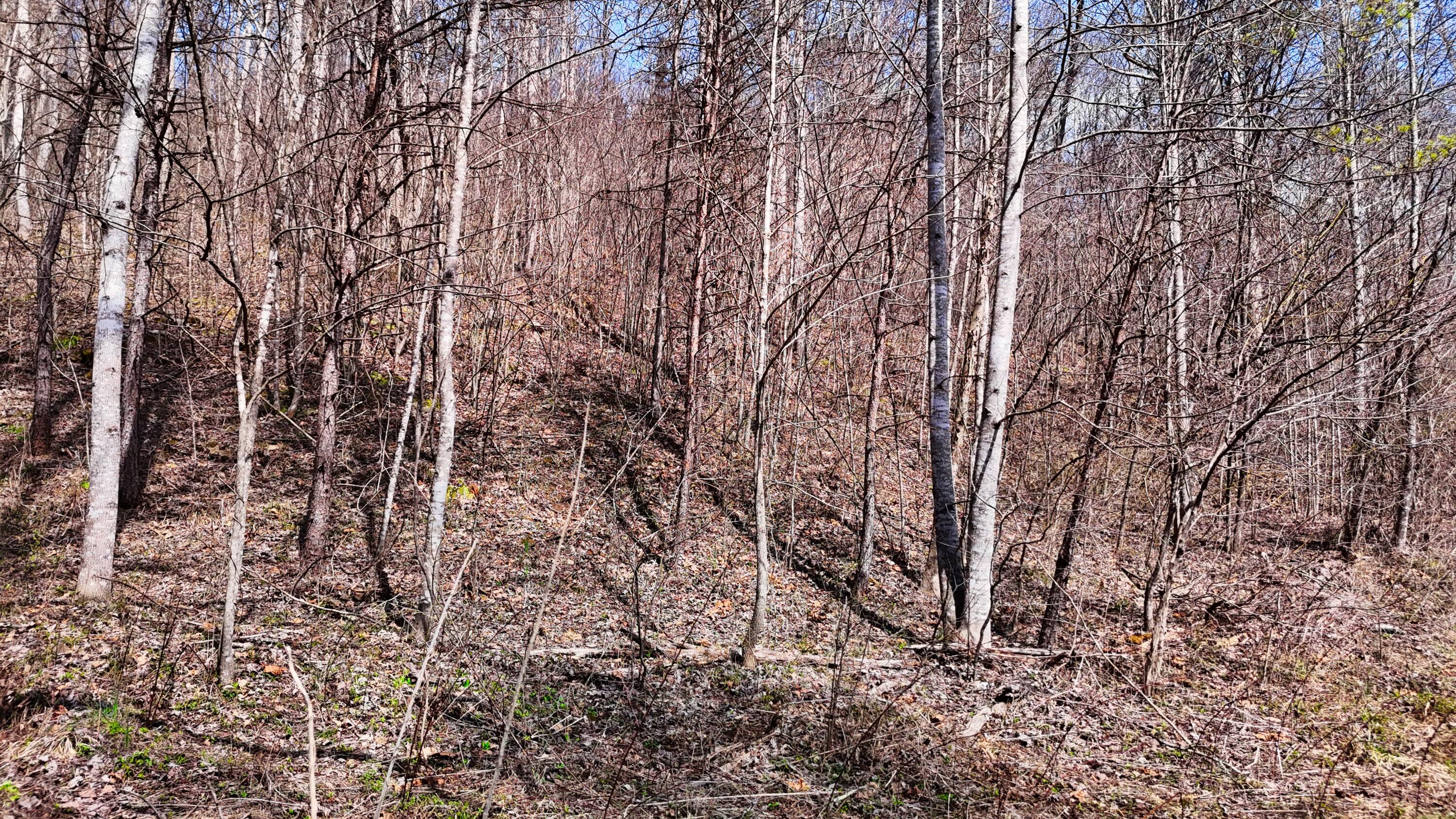 0 Sand Springs Road McKee, KY 40447 - Photo 58 of 58 DJI_20250318131803_0098_D