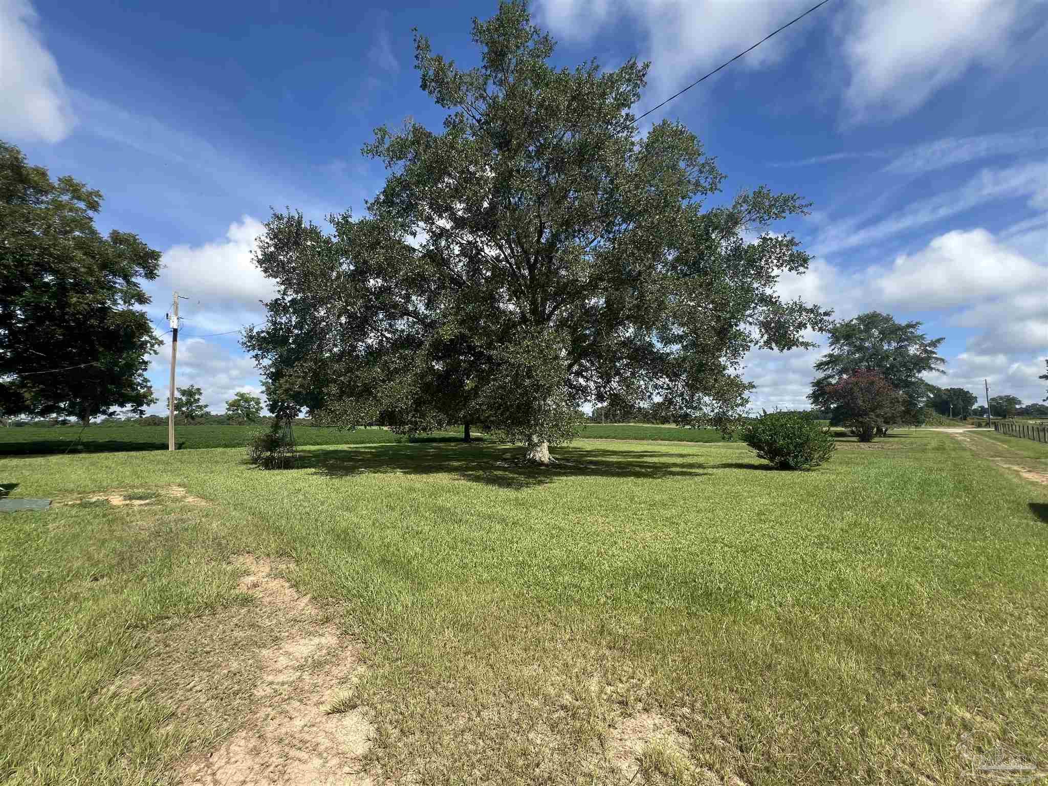 7351 McElhaney Road Century, FL 32535 - Photo 15 of 15