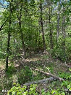 A78-82 Bowmantown Road Roxboro, NC 27574 - Photo 3 of 3 a view of outdoor space and trees