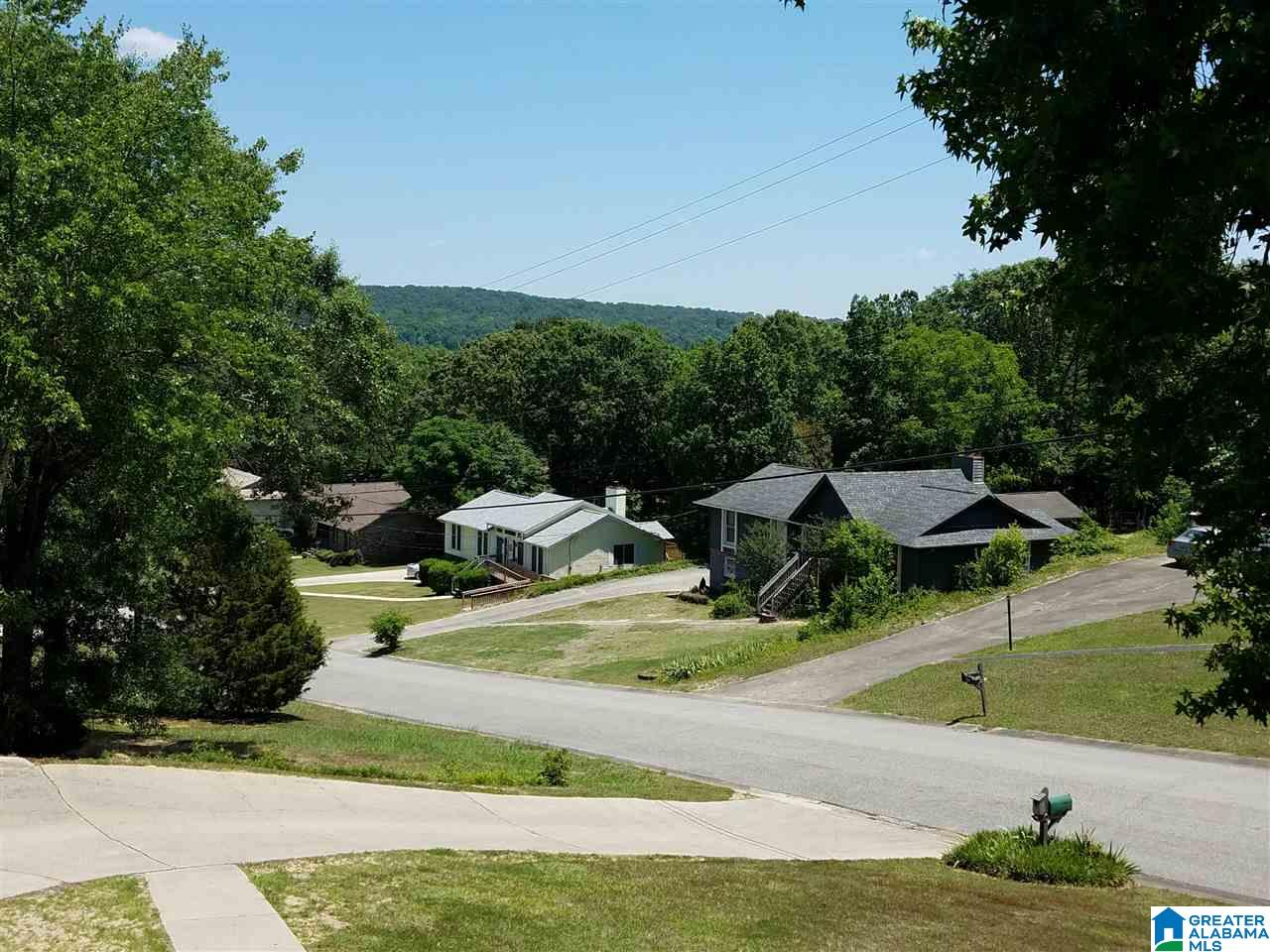 725 Wilderness Road Pelham, AL 35124 - Photo 3 of 6