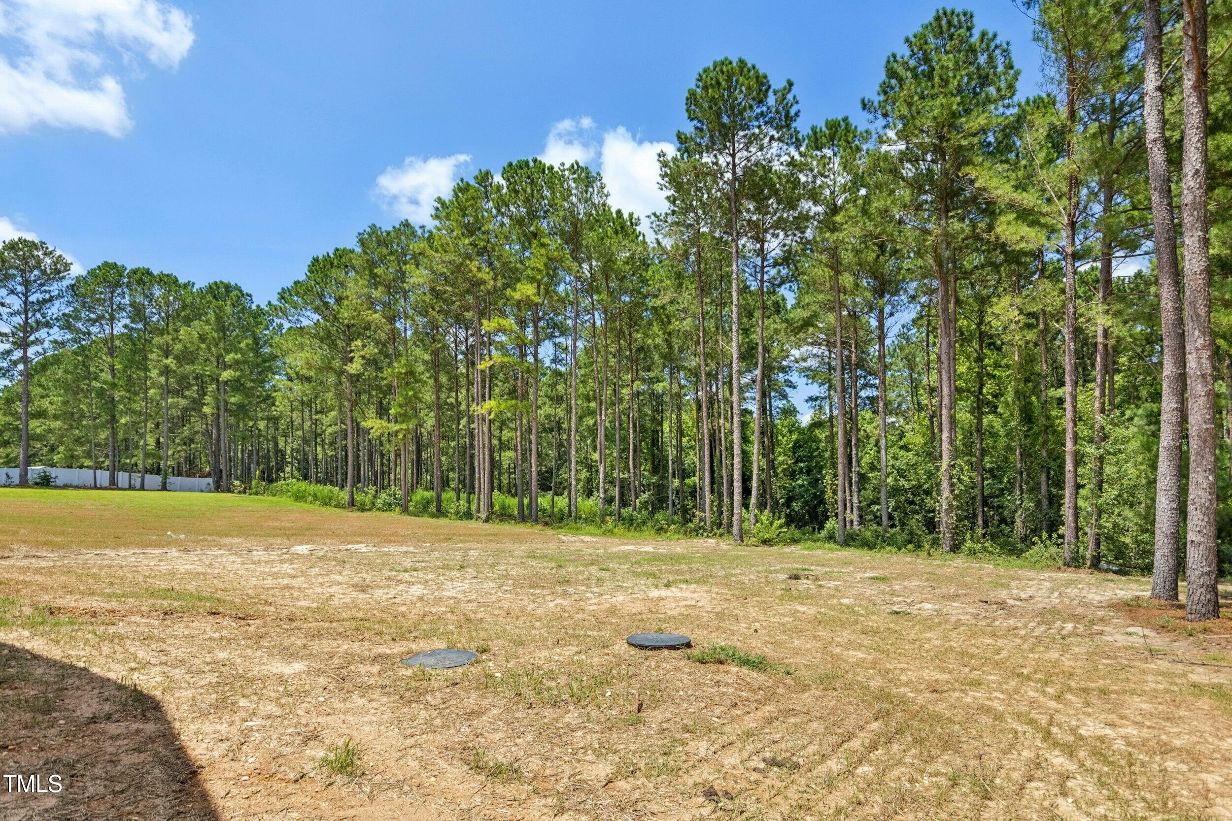 776 Shadetree Road Benson, NC 27504 - Photo 28 of 35 a view of outdoor space with trees all around