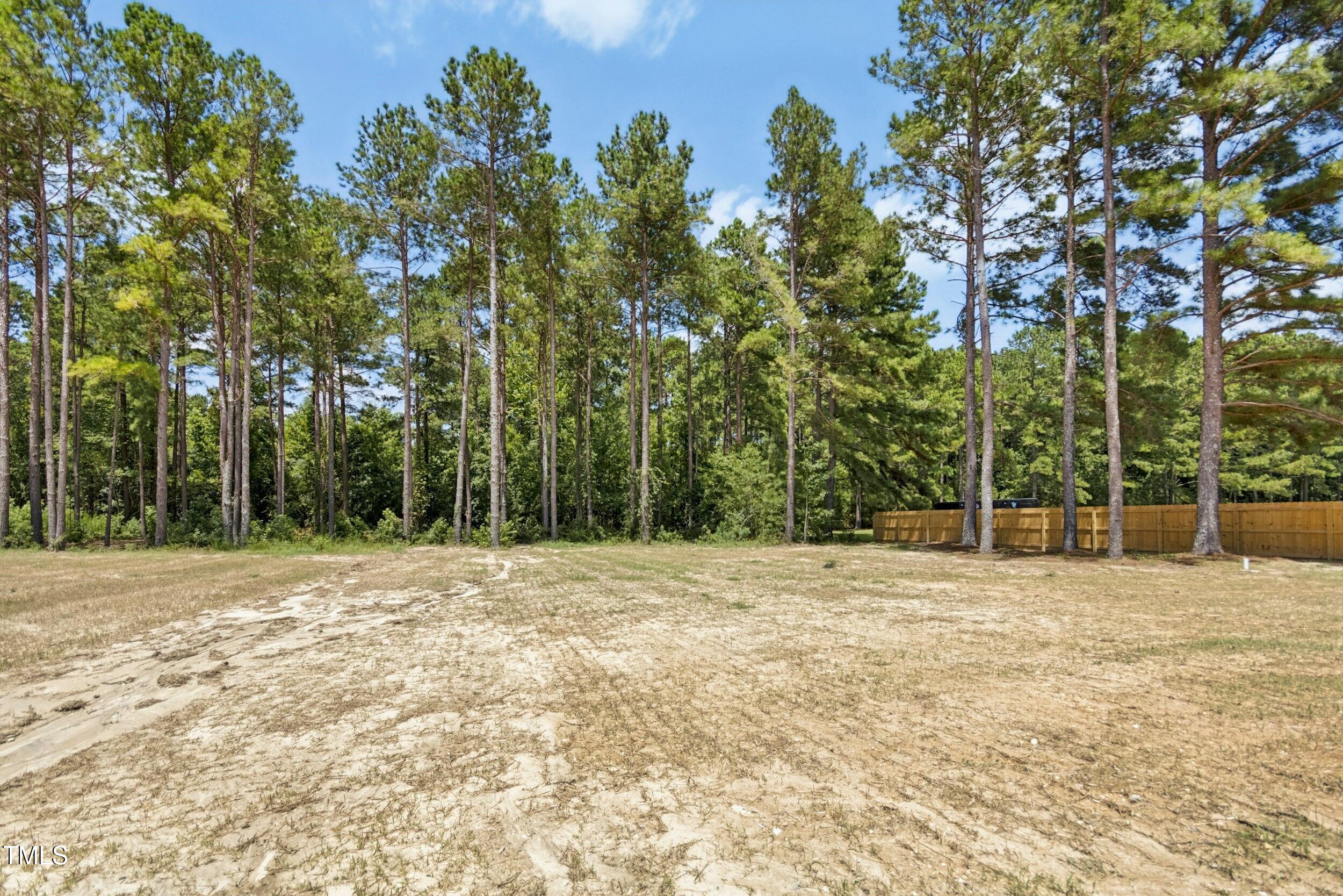 776 Shadetree Road Benson, NC 27504 - Photo 30 of 35 a view of outdoor space with trees