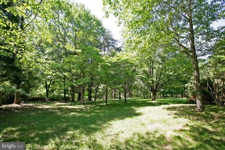 13305 Darnestown Road Gaithersburg, MD 20878 - Photo 5 of 25 Wooded View / Acreage