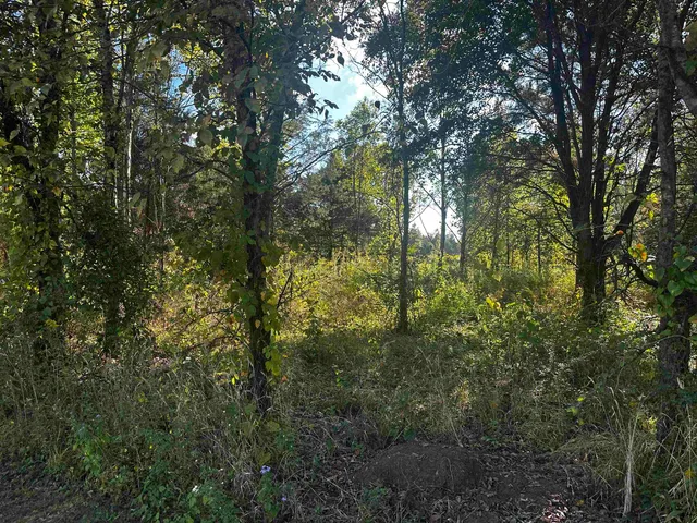 $140,000 | Lot 152-155 Catfish Lane, Crump, TN 38327