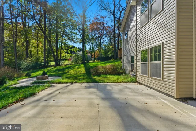 a view of backyard with plants and trees