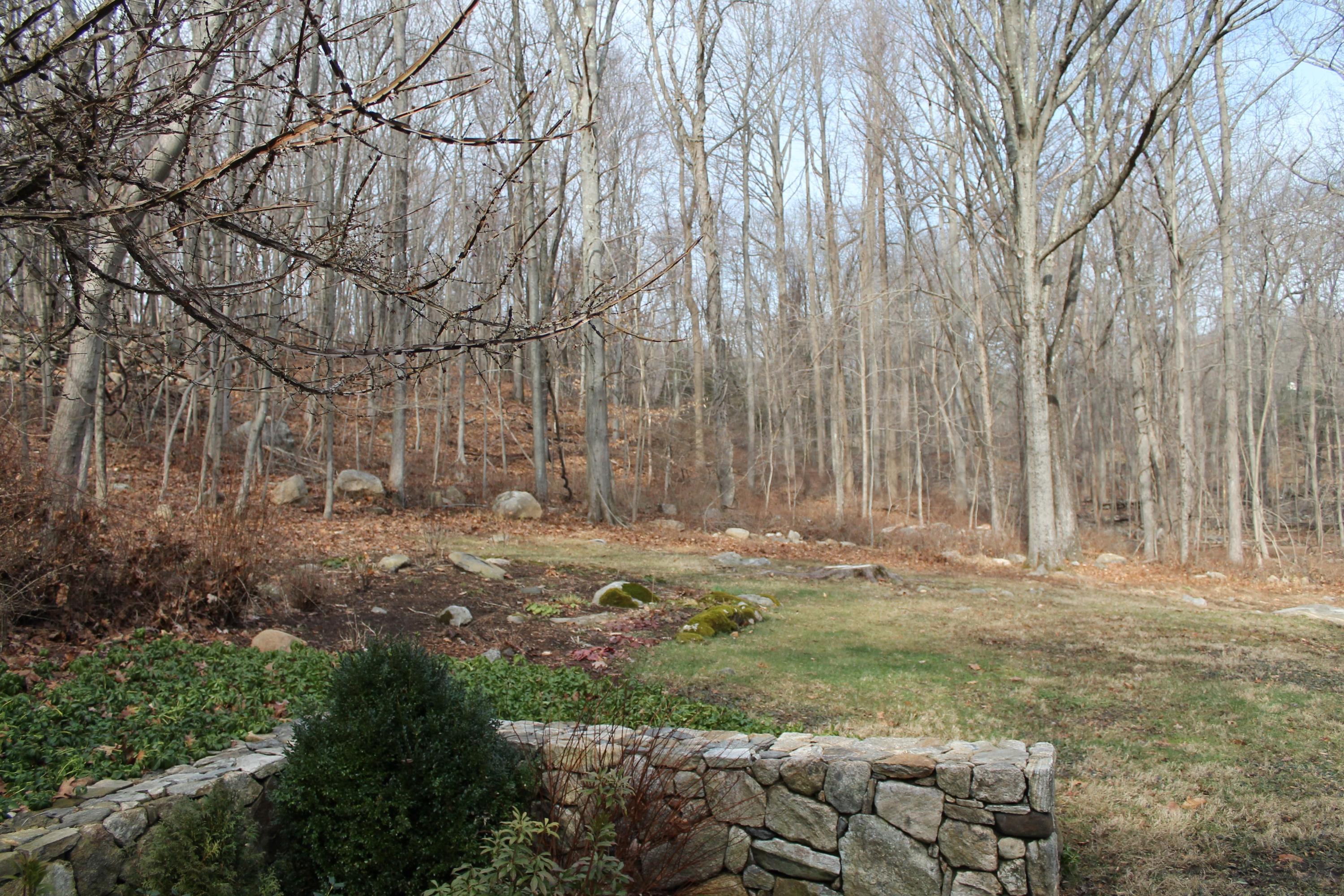 56 Farrell Road Weston, CT 06883 - Photo 9 of 33 a view of a yard with large trees