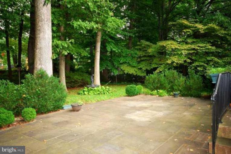5308 Atlee Place Springfield, VA 22151 - Photo 3 of 14 a view of a garden with plants