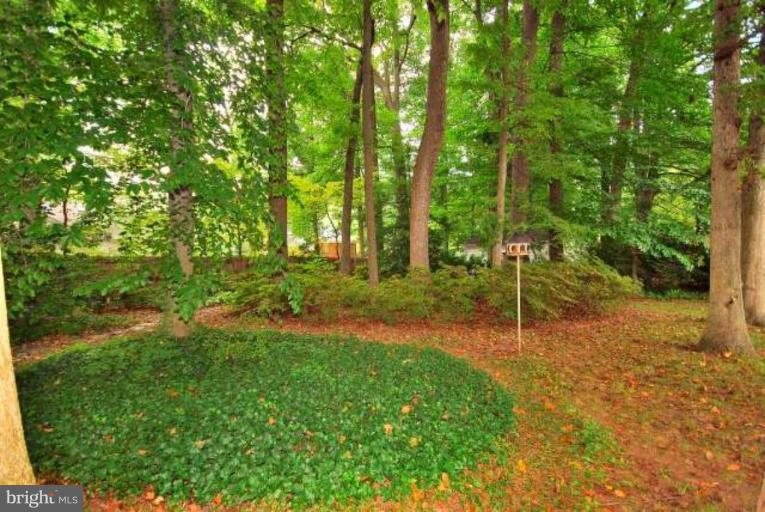5308 Atlee Place Springfield, VA 22151 - Photo 4 of 14 a view of a backyard