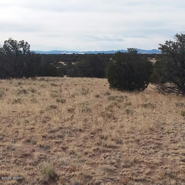St-johns Az 85936 Ranch St. Johns, AZ 85936 - Photo 5 of 8