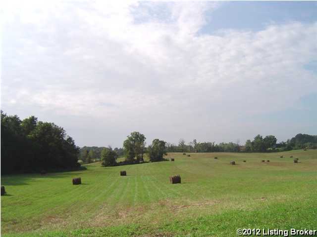 0 Swamp Hollow Road Canmer, KY 42722 - Photo 13 of 15 Additional Photo