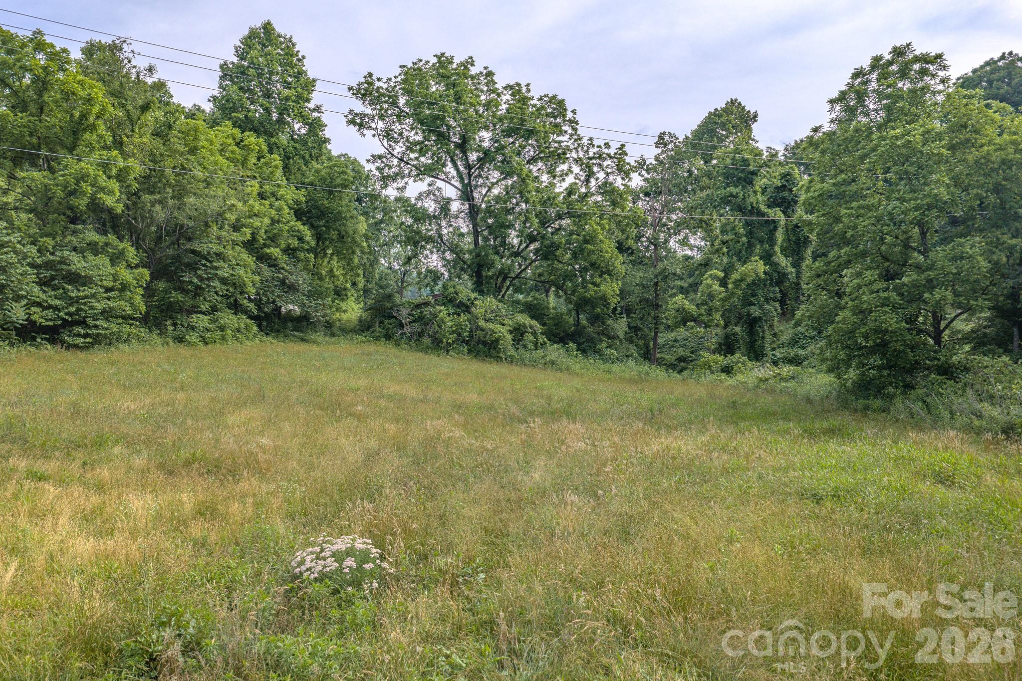 4733 Bat Cave Road Old Fort, NC 28762 - Photo 4 of 36