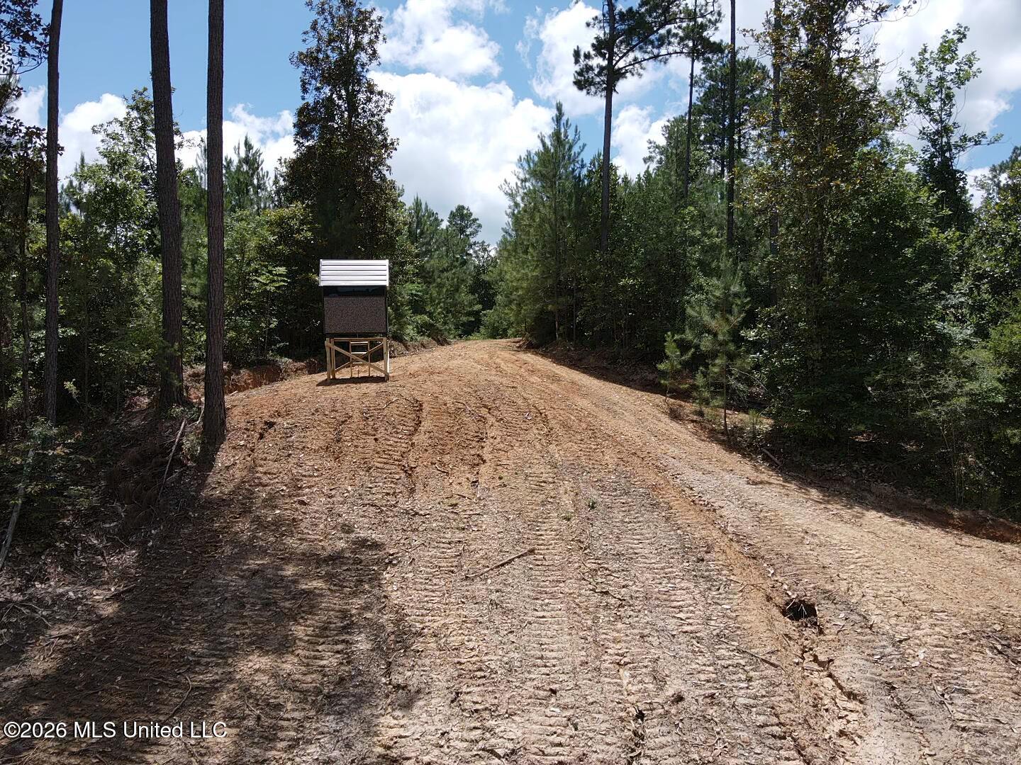 Stump Road Crosby, MS 39633 - Photo 48 of 60 2026-06-09-13-32-59-698