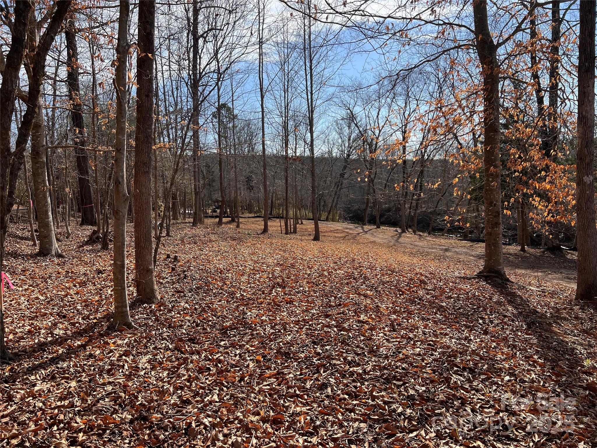 999 River Crest Parkway, Unit 28 Rutherfordton, NC 28139 - Photo 11 of 23 a backyard of a house with lots of green space