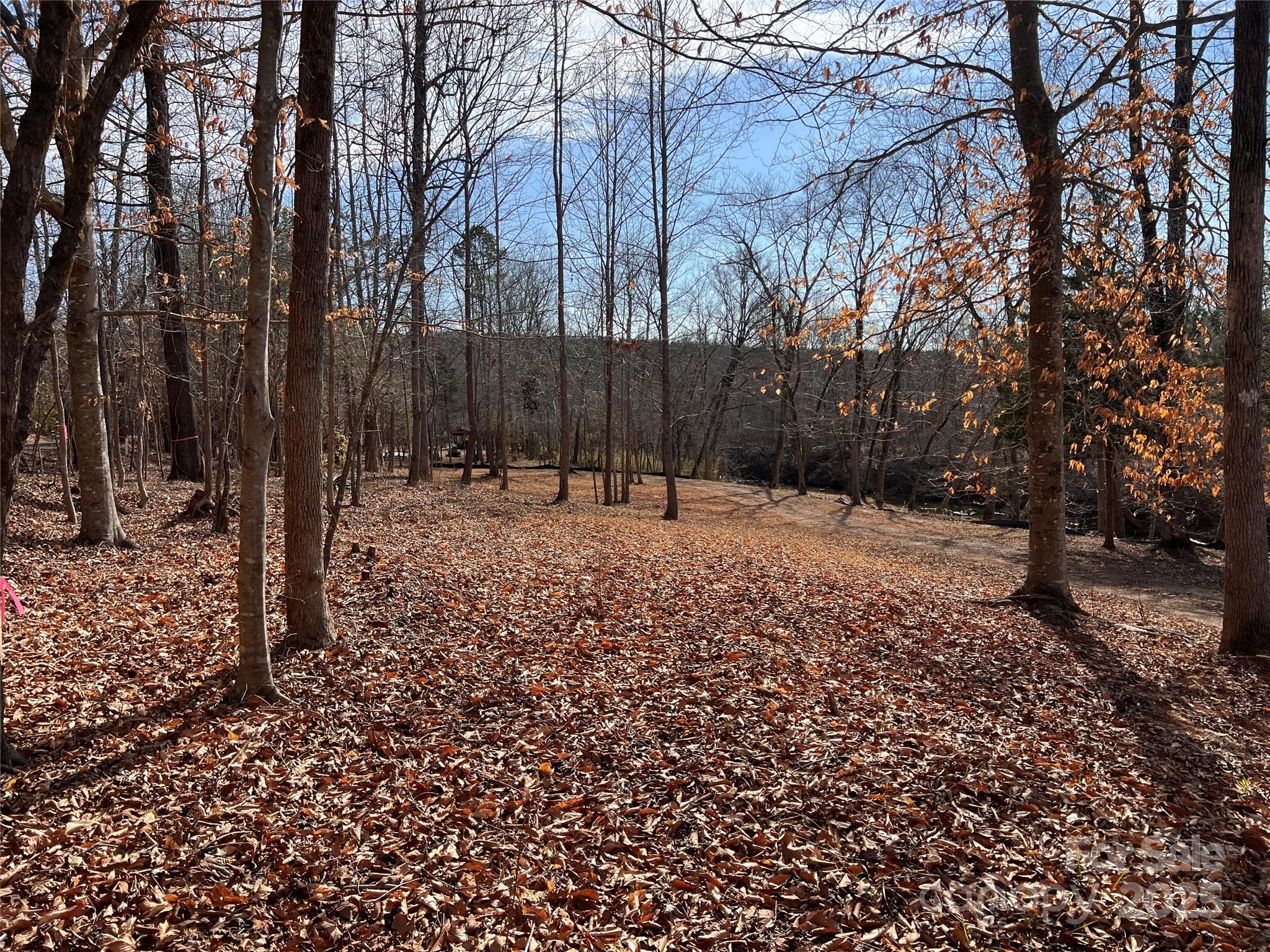 999 River Crest Parkway, Unit 28 Rutherfordton, NC 28139 - Photo 12 of 23 a backyard of a house with lots of green space