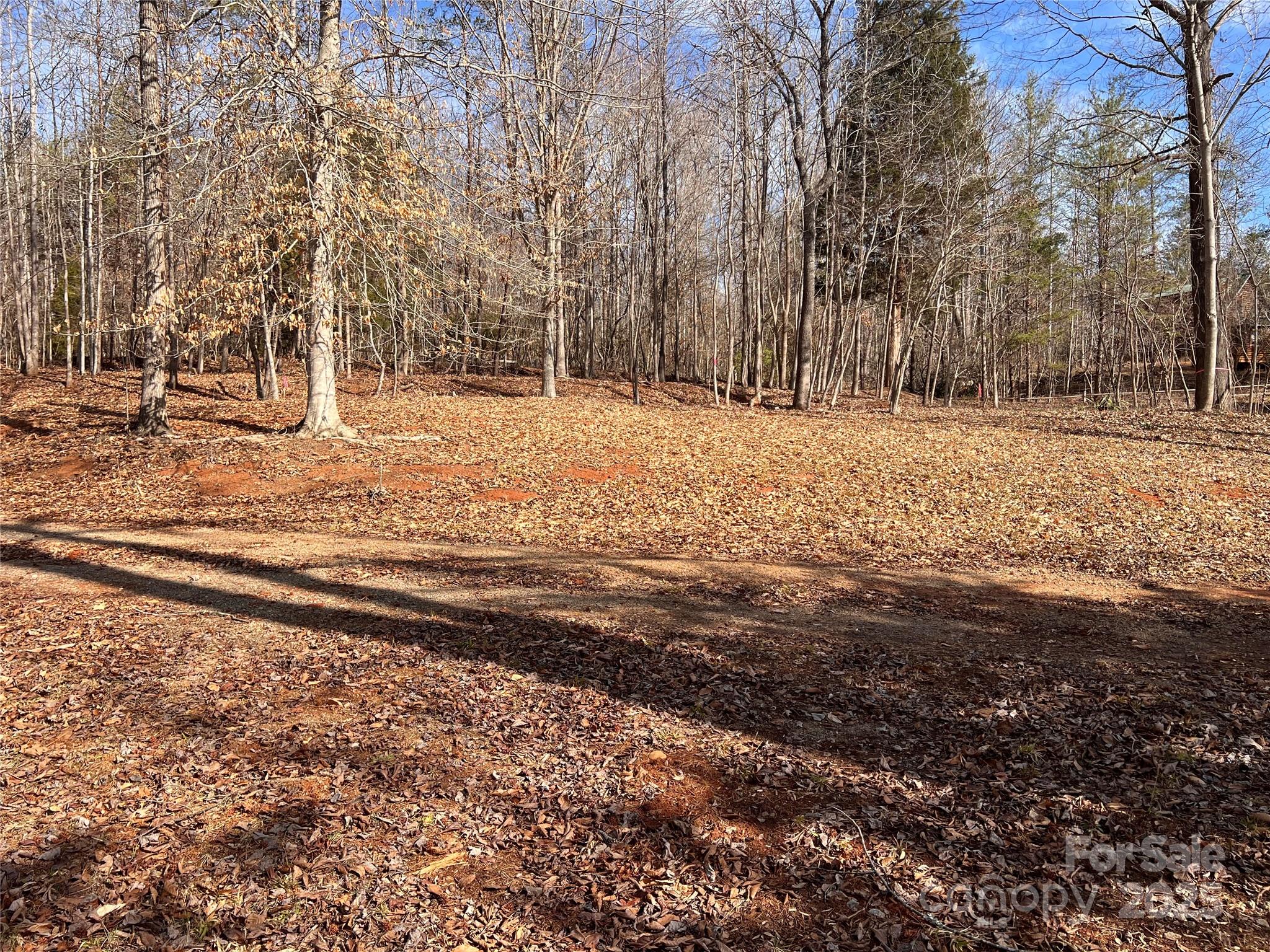999 River Crest Parkway, Unit 28 Rutherfordton, NC 28139 - Photo 5 of 23 a view of empty space with trees
